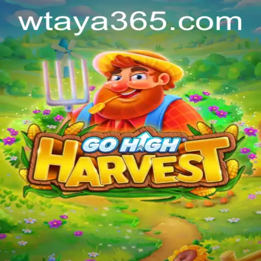 Unveiling GoHighHarvest: A Journey into the World of Taya365
